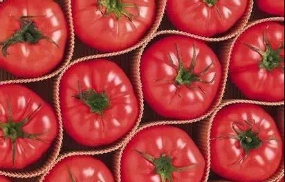 Il-mekkaniżmu ta' rilaxx ikkontrollat tal-kaseinat tas-sodju fuq il-Lycopene