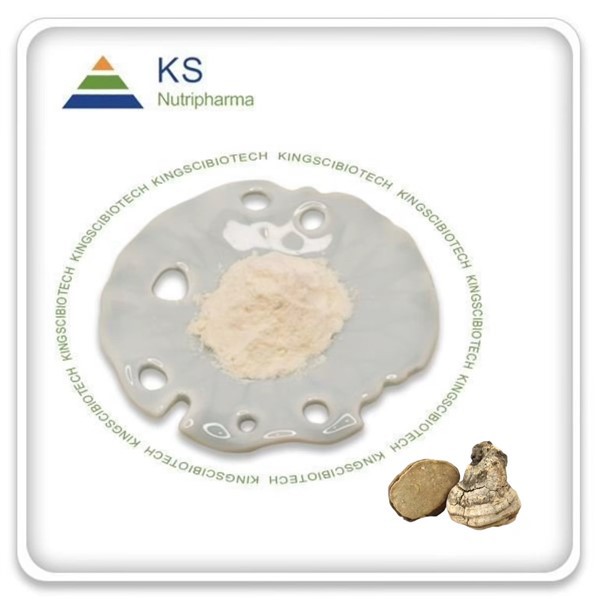 Estratt ta' Agarikon